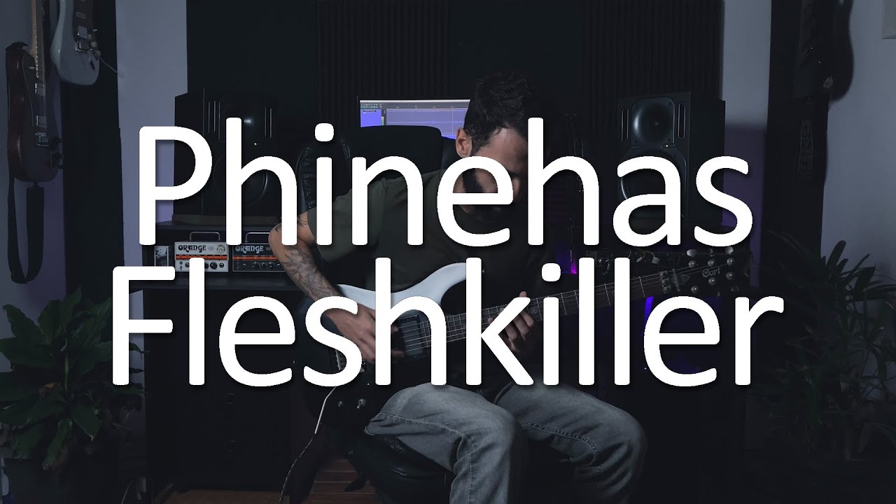 Phinehas - Fleshkiller (guitar cover)