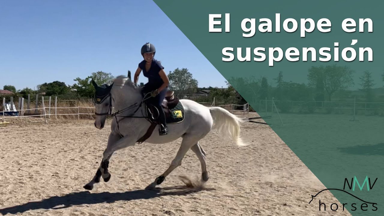 🐴Cómo galopar en suspensión con tu caballo🐴Aprende a galopar correctamente a caballo🐴