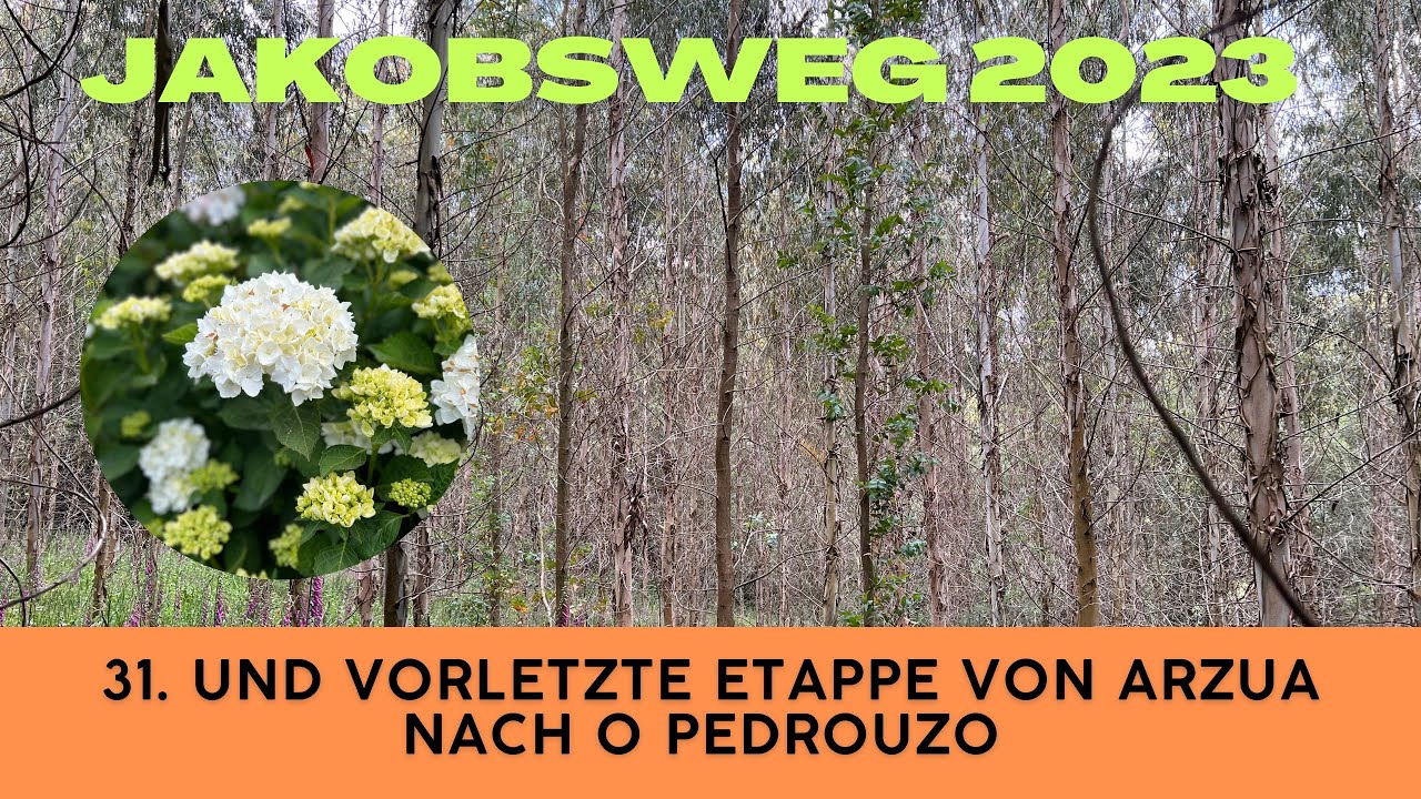 Jakobsweg-Camino De Santiago 31. und vorletzte Etappe von Arzua nach Pedrouzo und Danke Sandra!