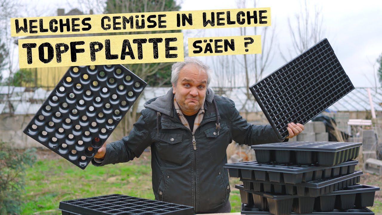 Welches Gemüse wird in welche Topfgröße gesät? Jungpglanzen richtig vorziehen! Ratgeber Topfplatten