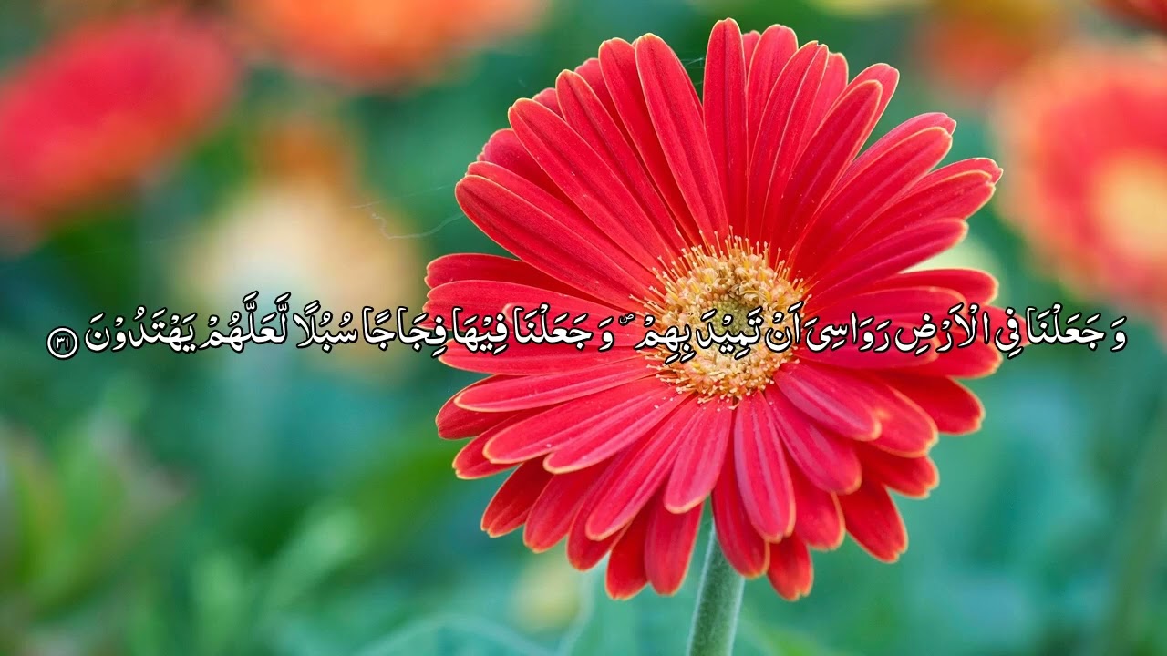 Al Quran Para 17/30 | Maher Al Muaiqly | With Urdu Translation | Verse by Verse