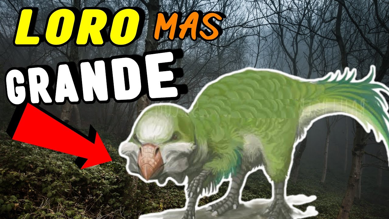 Descubre al Loro Más GRANDE del Mundo 😱 | Revelando el Secreto Mas Asombroso!!