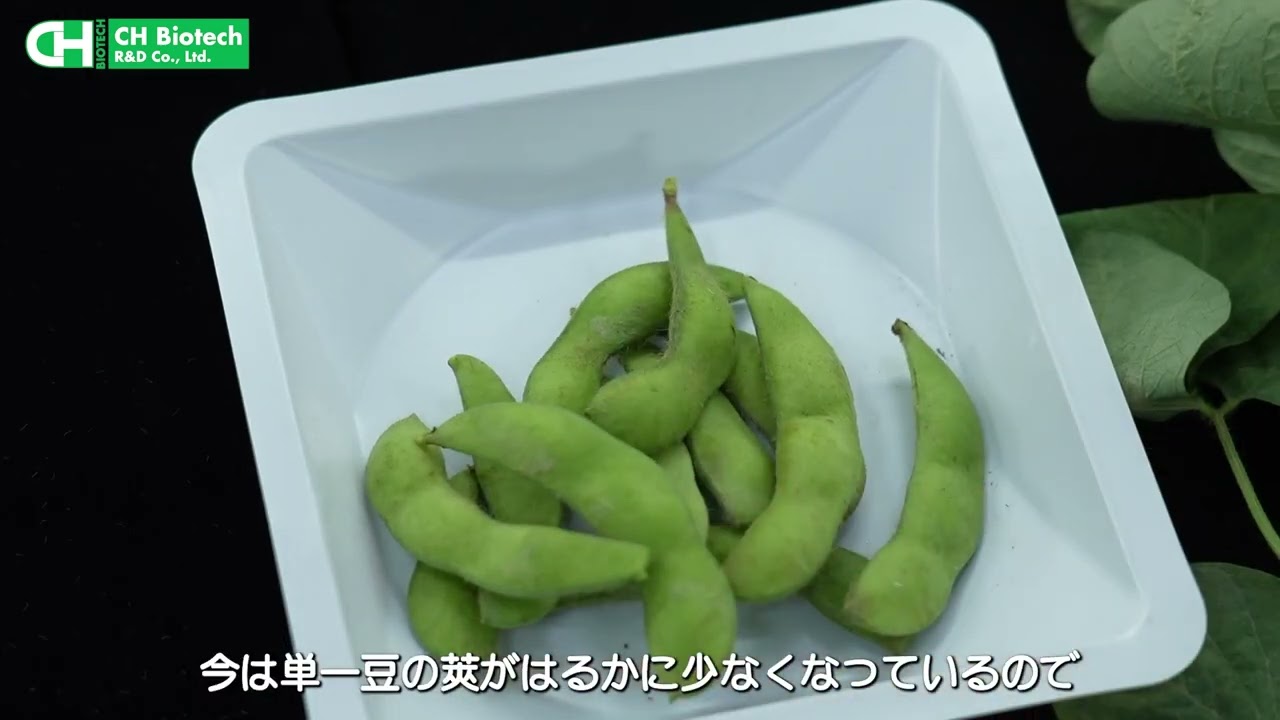 穀物作物応用: 枝豆 完全版動画