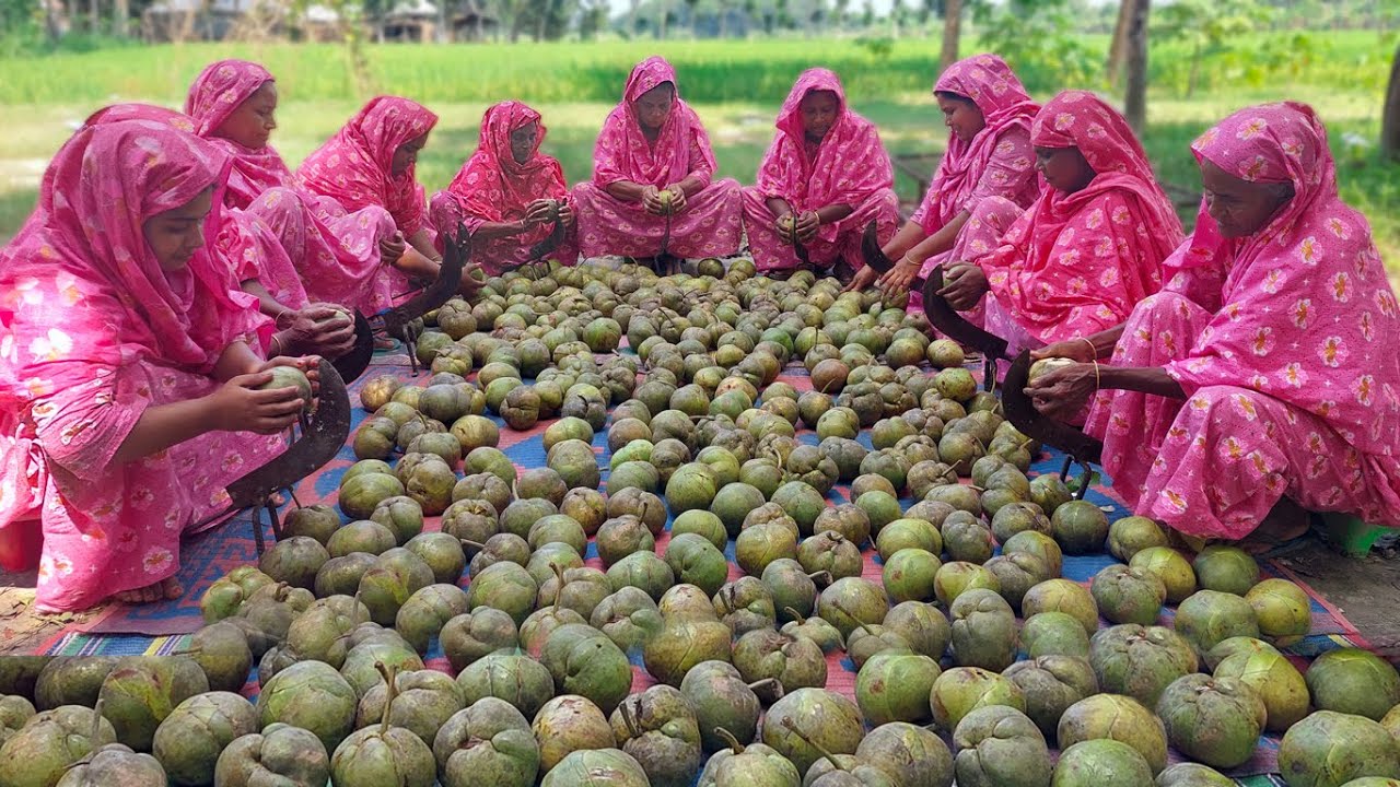 Mouth Watering Chalta Pickle Recipe - 130 KG Elephant Apple Achar Cooking - Delicious Village Food