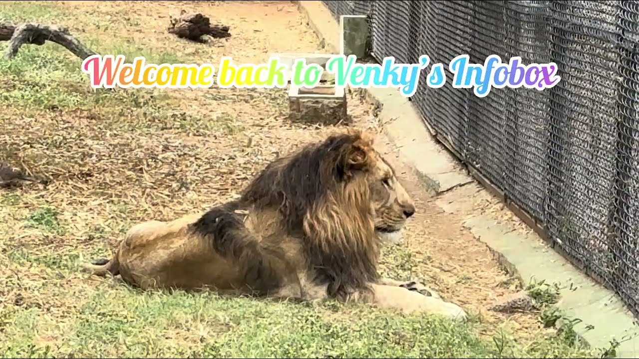 Latest Mysore Zoological Gardens, Karnataka #KidsFav# Animals #