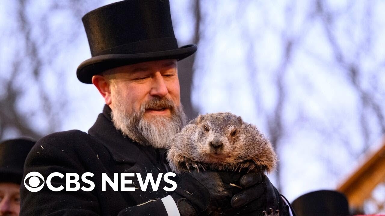 How accurate is Punxsutawney Phil's prediction?