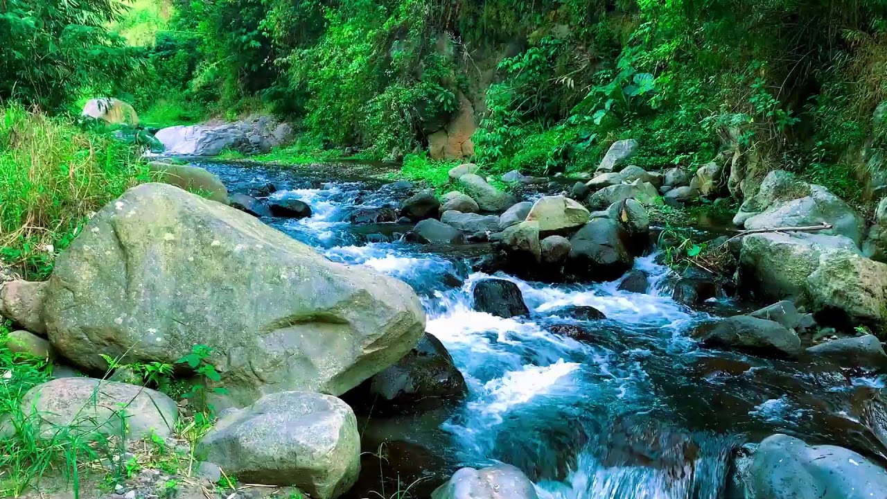 Meditative Running River with Beautiful White Noise for Mood Boost, Zen & Mental Clarity