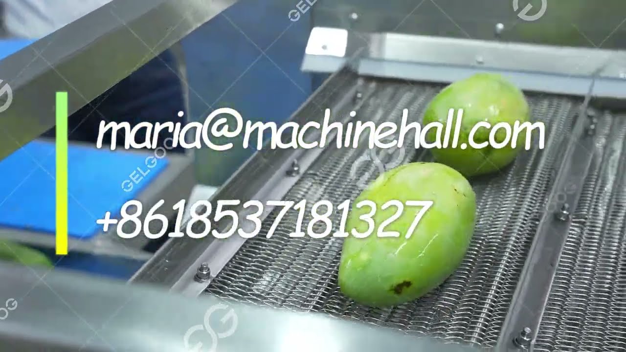 Mango Fruit Washing Processing Machine  #mango #washer