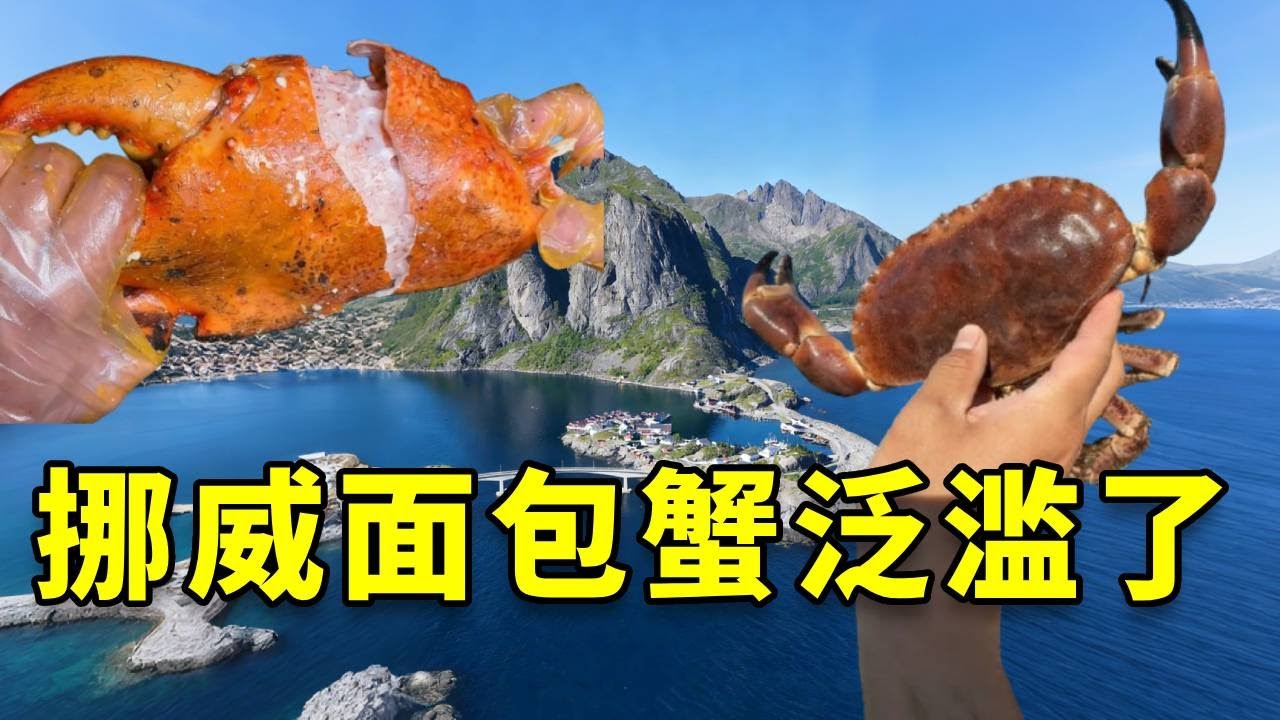 国内买几百块一只的面包蟹在挪威泛滥成灾，帅小伙带女友火速赶往一探究竟 #面包蟹 #大豪夫妇 #戶外