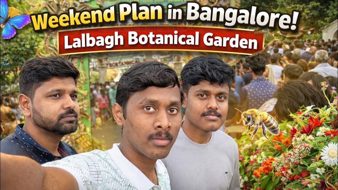 Weakened plan in Bengaluru, Lalbagh, botanical Garden 