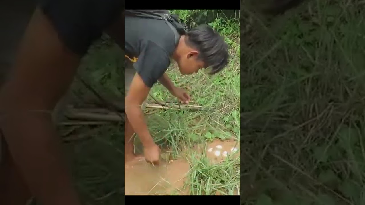 Primitive Technology: Man Make Crocodile Trap - How To Make Big Crocodile Trap Work #shorts