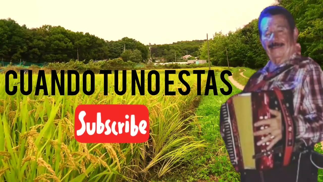 CUANDO TU NO ESTAS MI AMOR - EL POSTE DE MACANO NEGRO Y SU ORGULLO SANTEÑO DORINDO CARDENAS EN VIVO