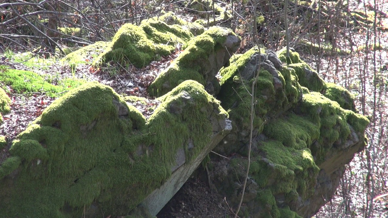 Geotope im Vogelsberg - Die Burg
