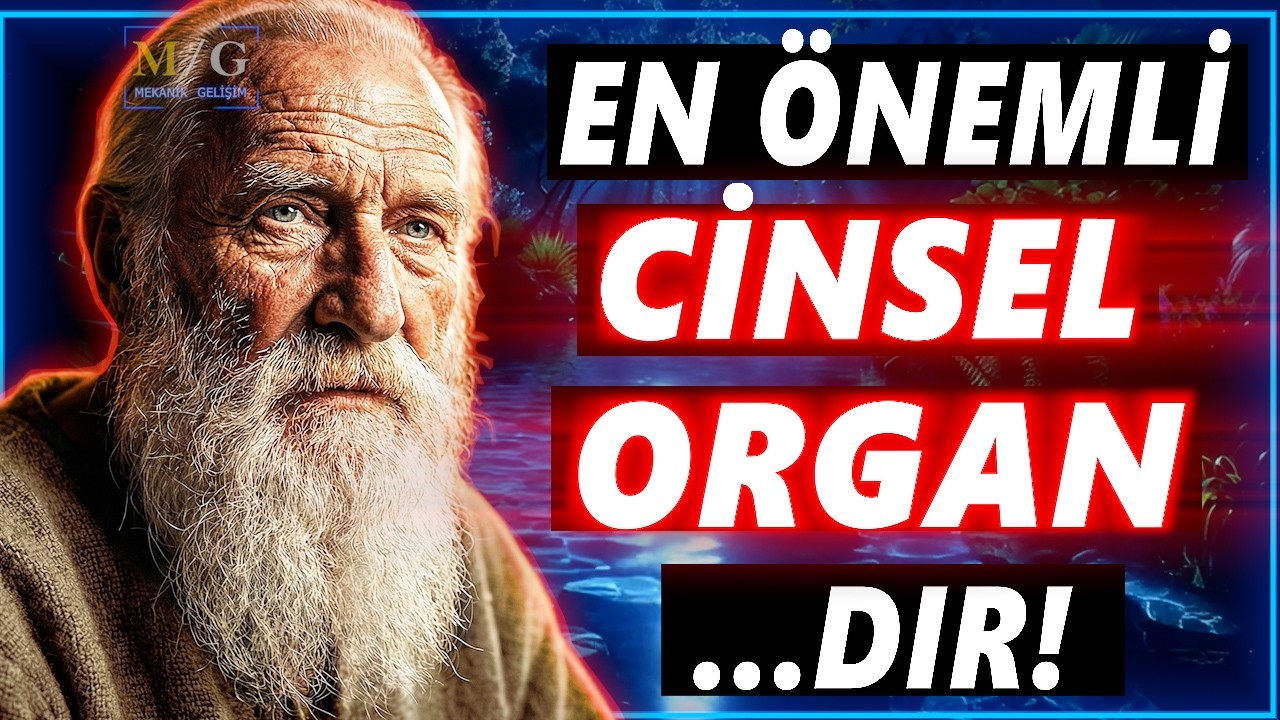90 Yılını Boşa Harcama! 90 YAŞINDAKİ BİLGE BİR ADAMDAN SİZİ KÖKTEN DEĞİŞTİRECEK HAYAT TAVSİYELERİ
