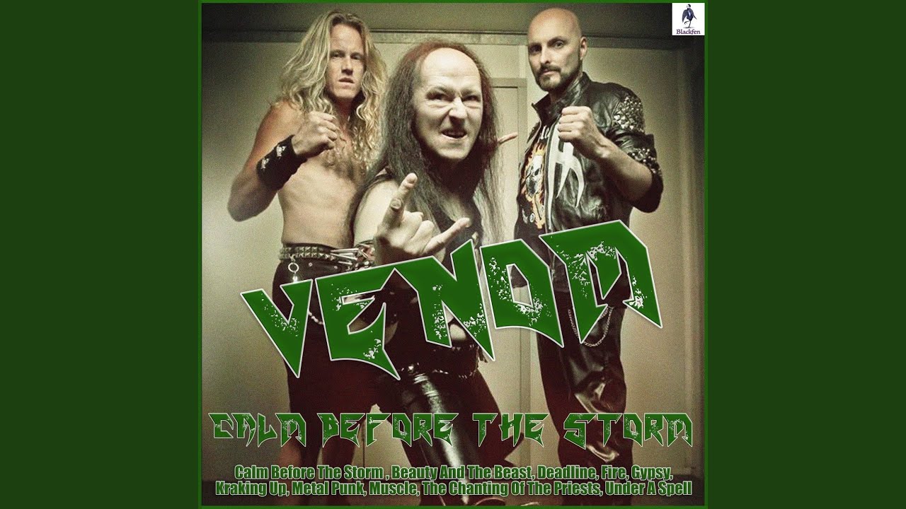 Metal Punk