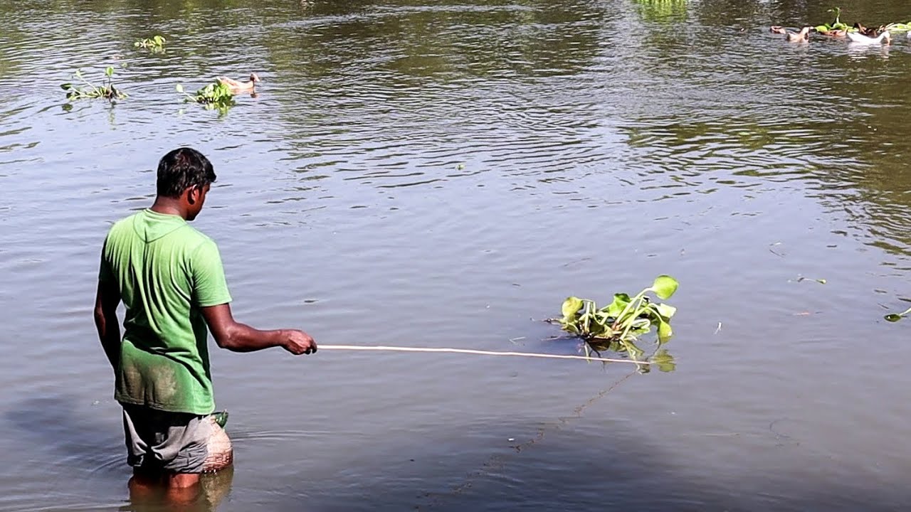 নদীতে বড়শি দিয়ে টেংরা মাছ ধরার টোপ বানানোর পদ্ধতি  | Tengra Fishing Baits