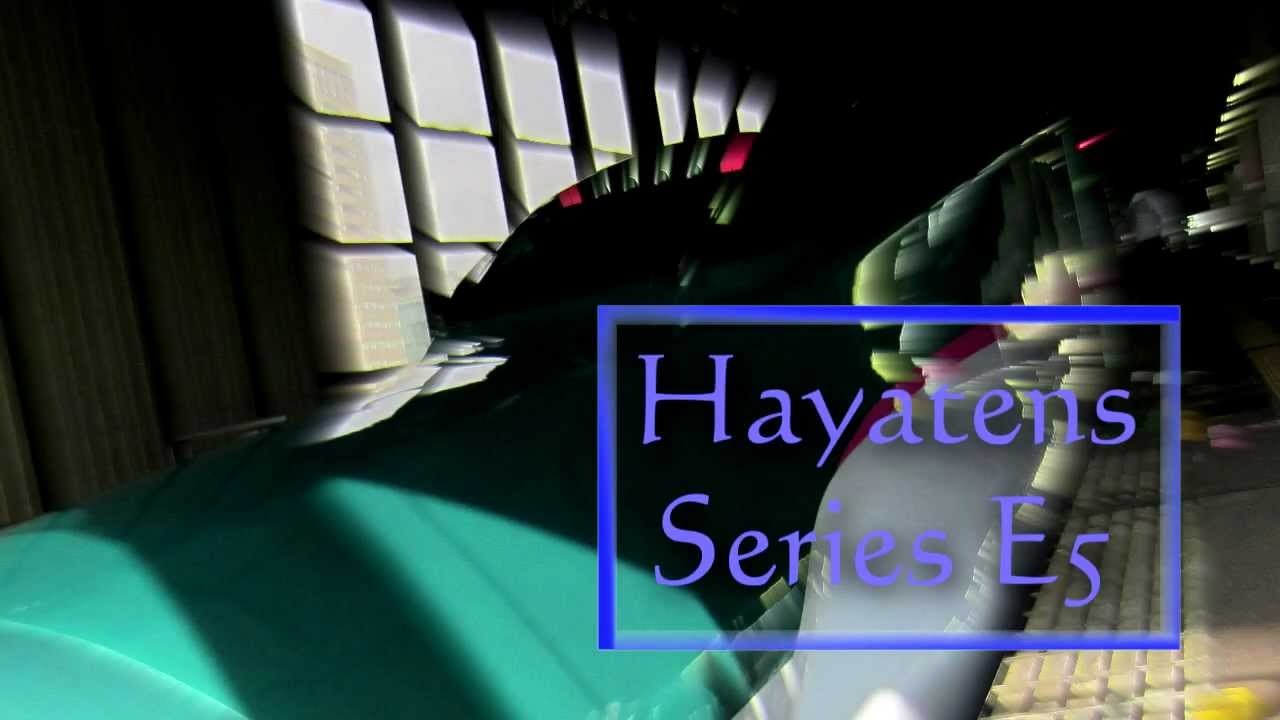 Hayatens(はやて95号×Evans)