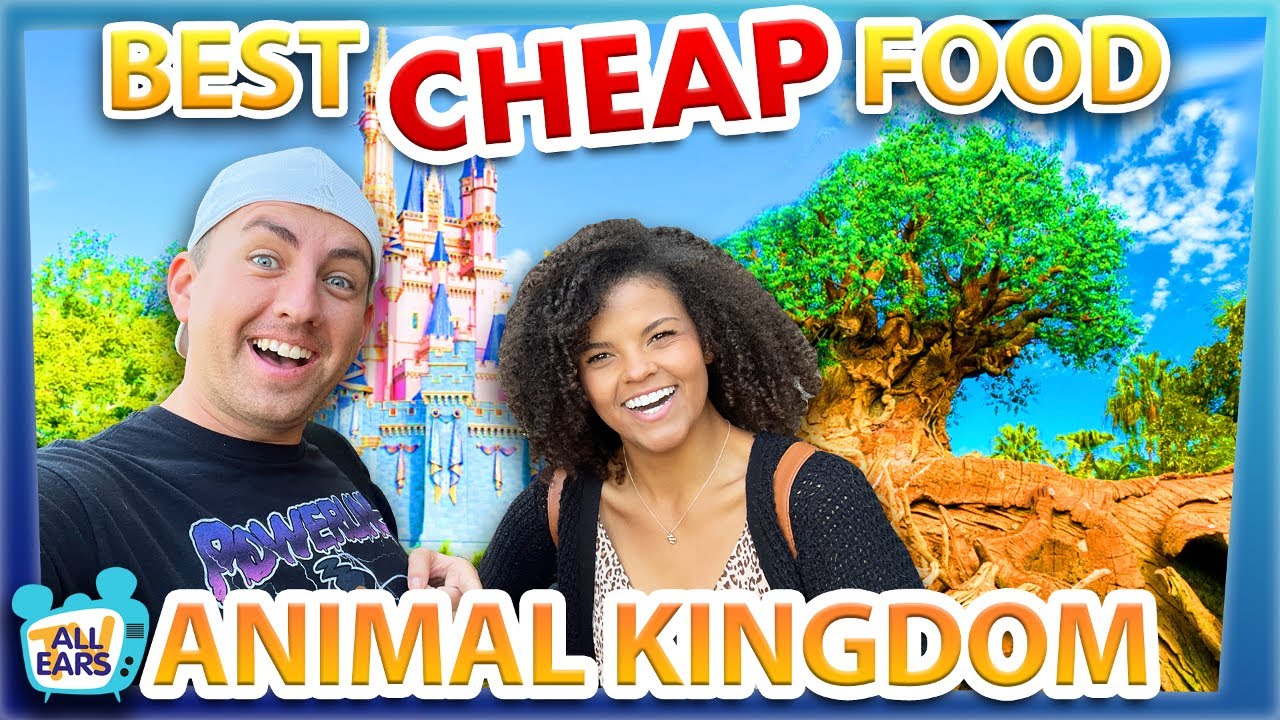The Best CHEAP Food in Disney's Animal Kingdom