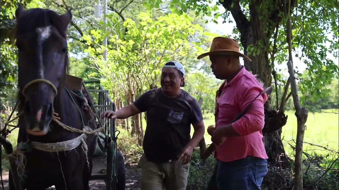 Así es trabajar en el campo - El deportado 