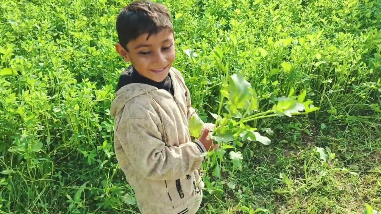 بچوں نے انجواے کیا