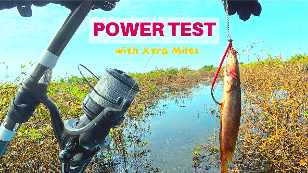 Does This Bait Really Work? #Fishing