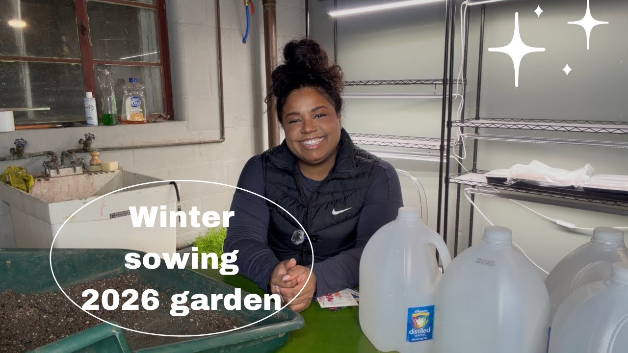WINTER SOWING A FOOL PROOF FLOWER || DIGITALIS/FOXGLOVES!  