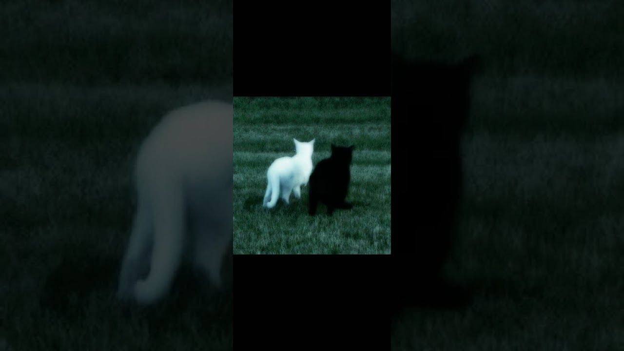 Slowdive - hide your eyes (slowed 0.9x)