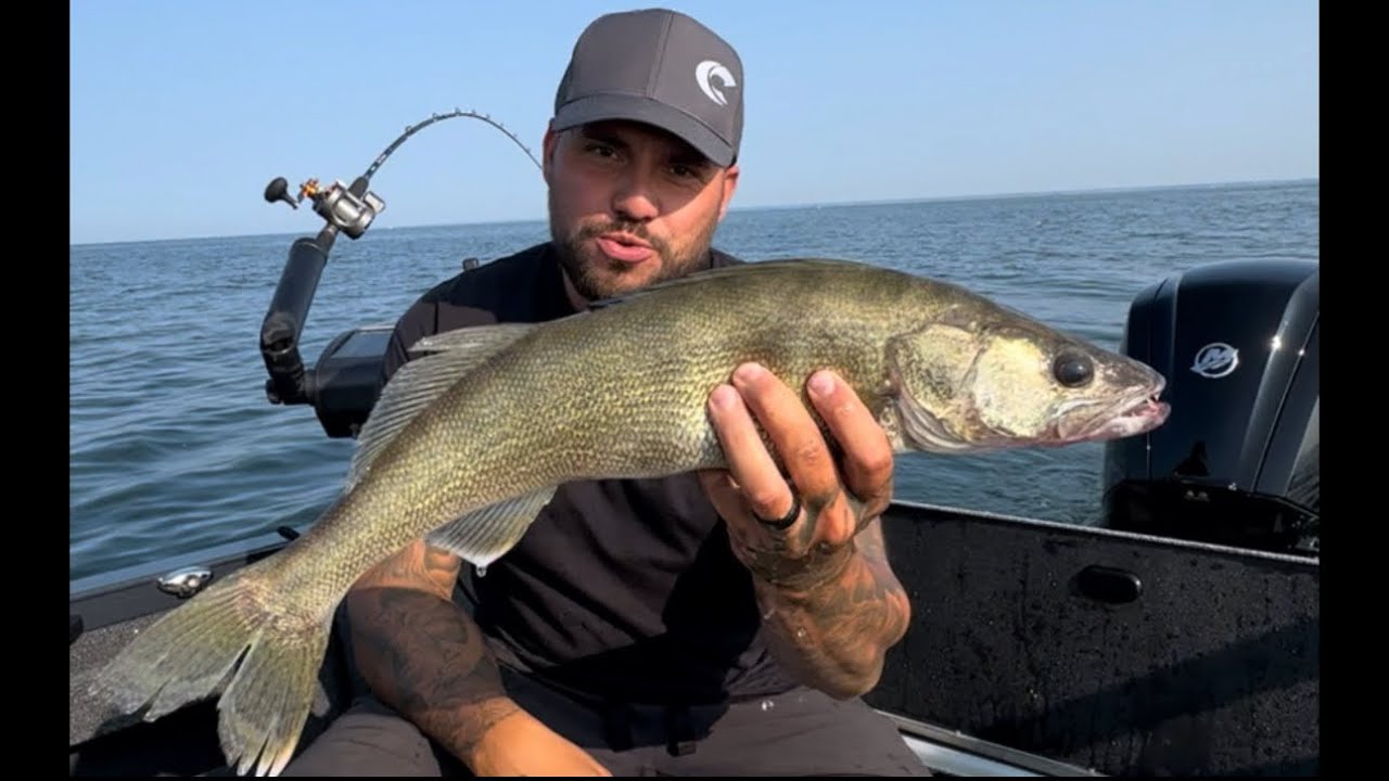 Lake Erie Walleye  ( Early Morning Trolling )