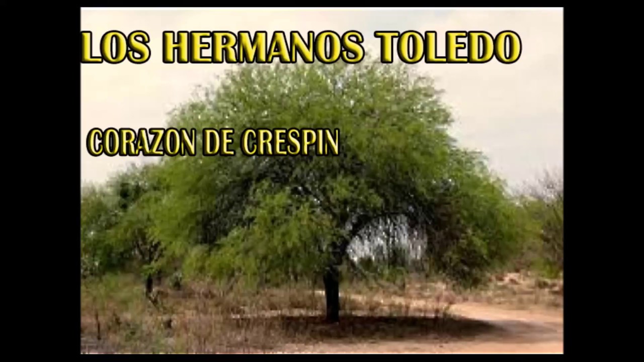 Enganchados de los Hermanos Toledo- Corazon de Crespin - Part 1