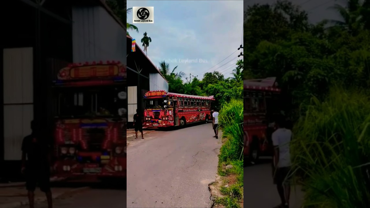 SLTB Point Pedro King Beautiful Ashok Leyland Bus 