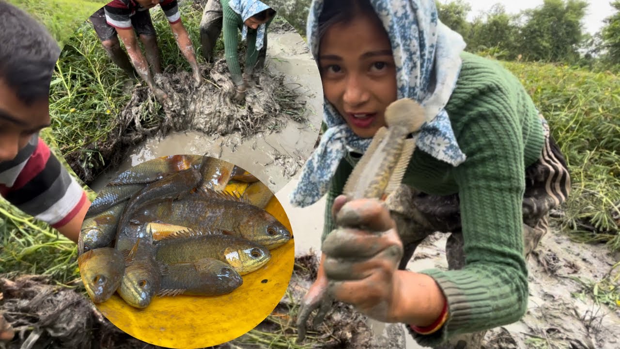 NGANA SOURE EKAITHABI MARAKSE #climbingperch #fishing #fish 