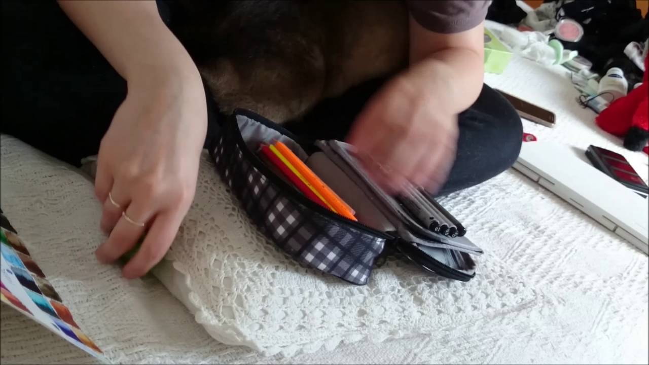 Random ASMR artcat video