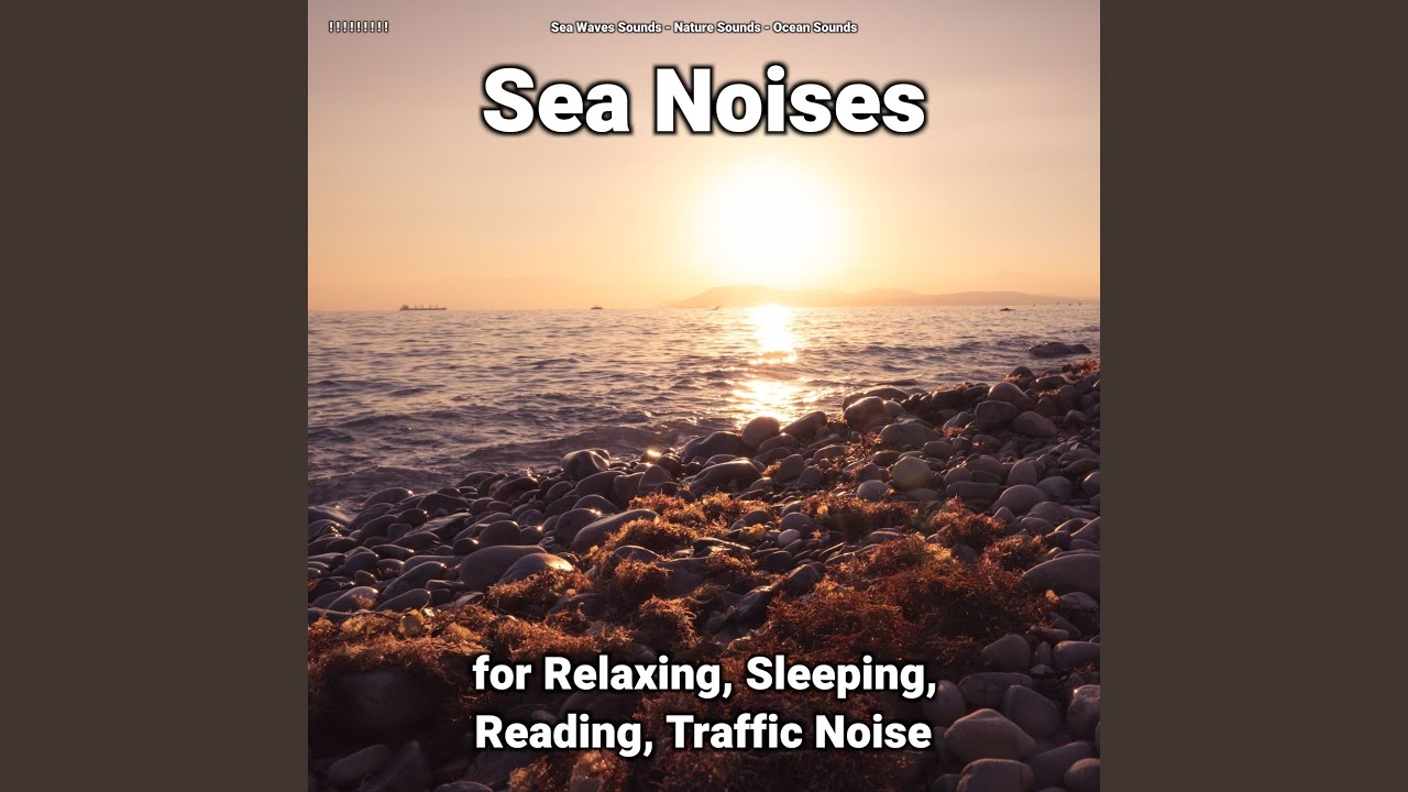 Ocean Waves Sounds