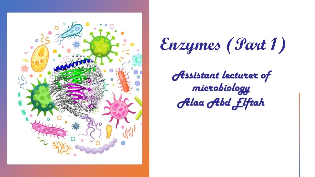 Enzymes part 1 (Pectinases)