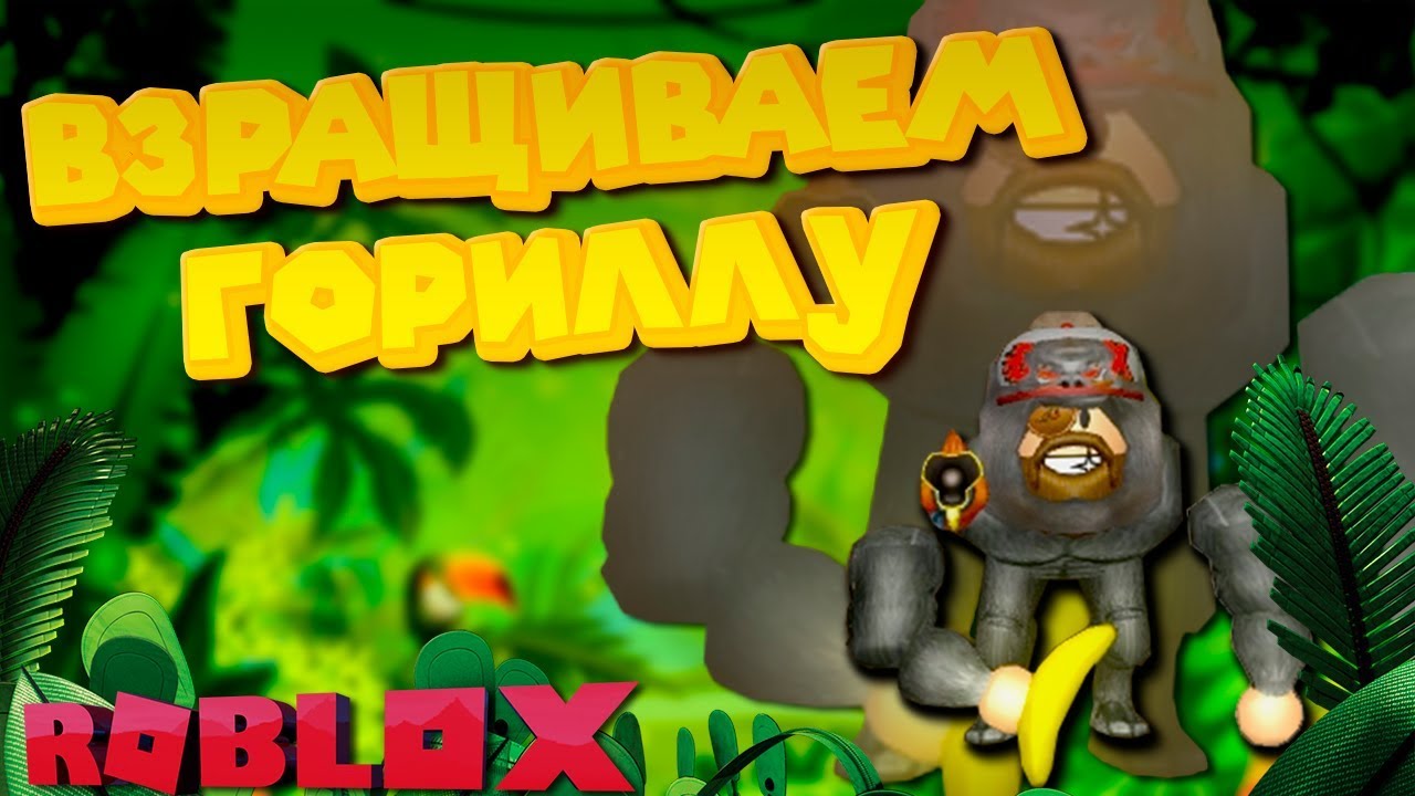 Роблокс СИМУЛЯТОР ВЗРАЩИВАНИЯ ГОРИЛЛЫ ROBLOX Gorilla Simulator 2