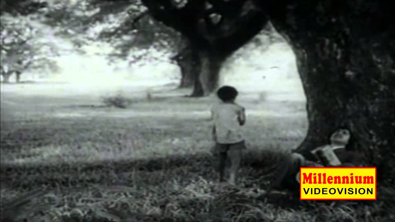 Sangaganam | Malayalam Black And white Full Movie | Sreenivasan