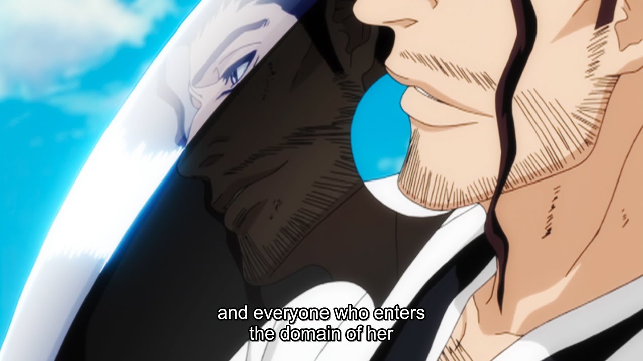 Shunsui Kyoraku Revealed the Secret of His Blades' Bankai - Bleach
