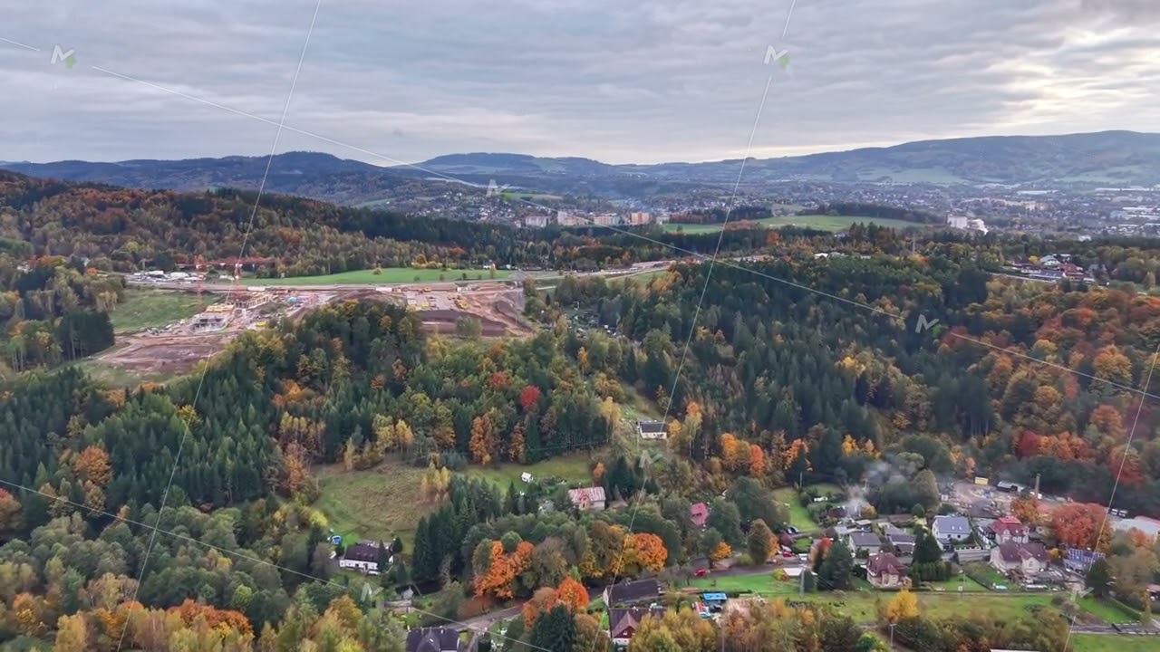 aerial shot of village gardens, high vantage point showcasing neighborhood foliage and landscape