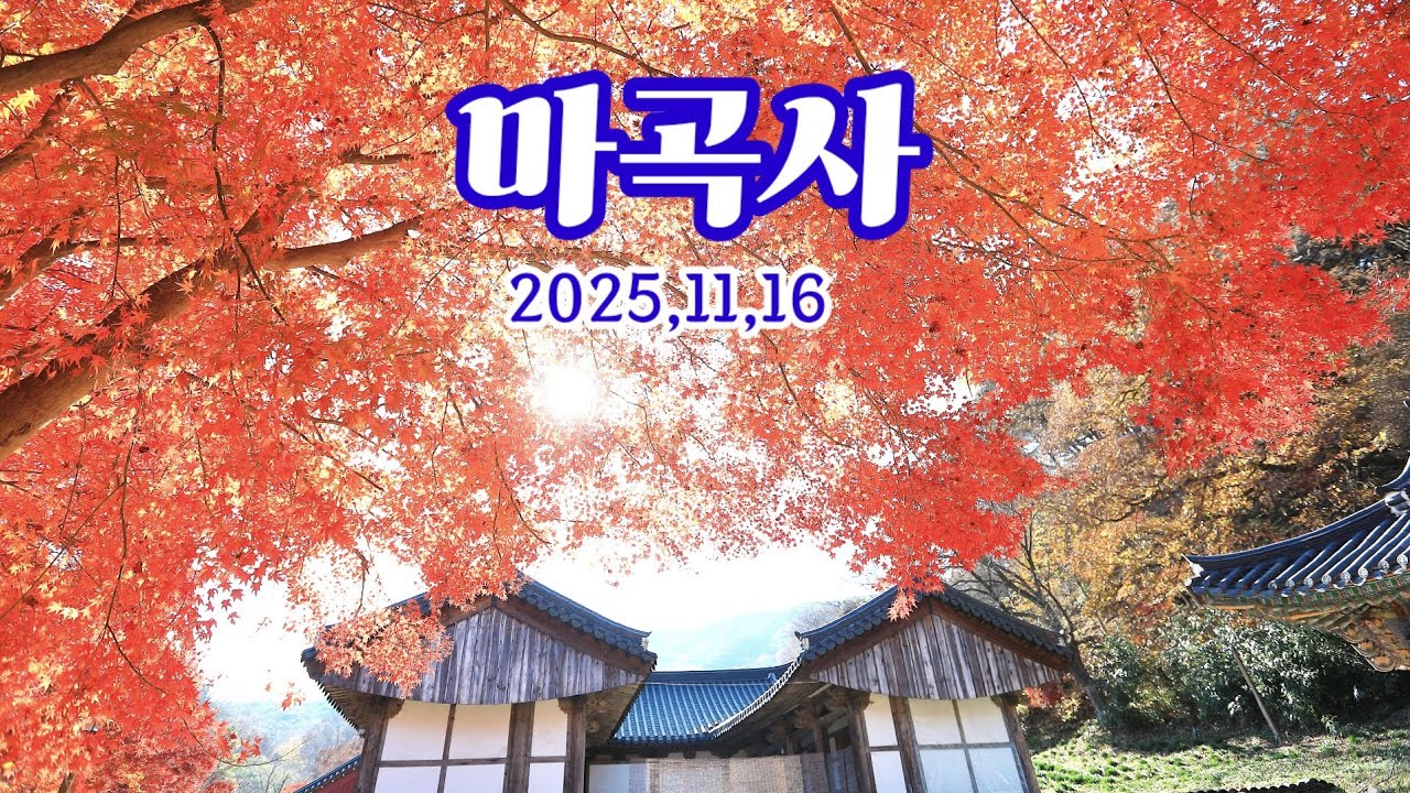 마곡사 마지막단풍 보고왔습니다 / 황혼의편지 ( Gongju Magoksa Temple )