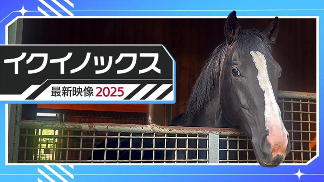 【イクイノックスの今】社台SSで過ごす史上最強馬イクイノックスの日常を公開