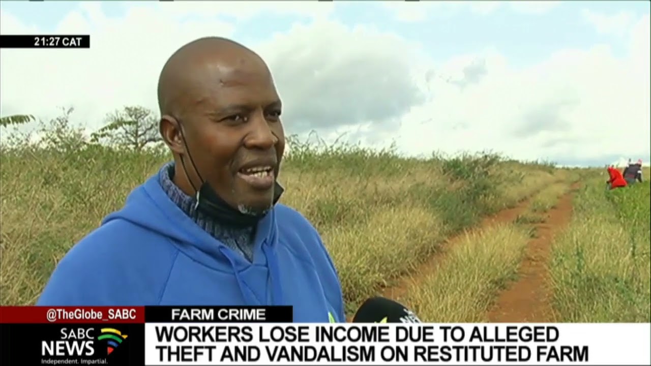 Farm workers lose their income due to alleged vandalism and sabotage