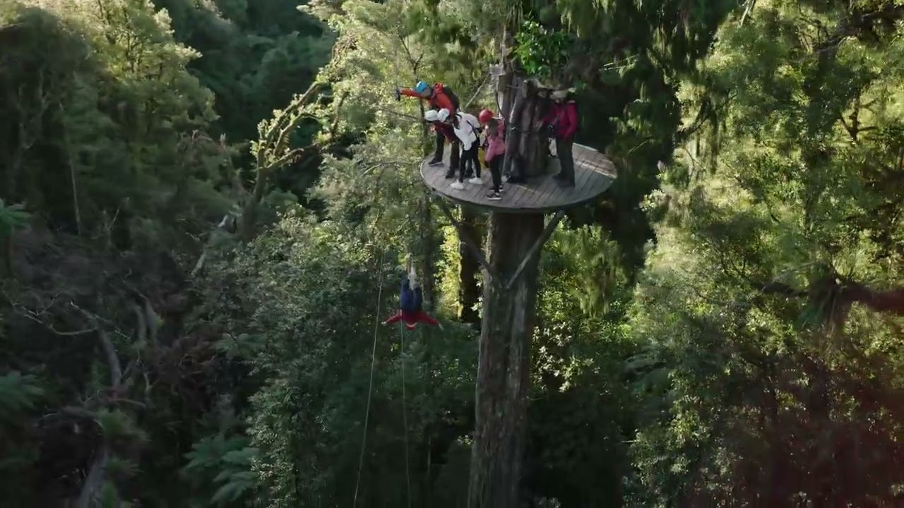 The Ultimate Canopy Tour