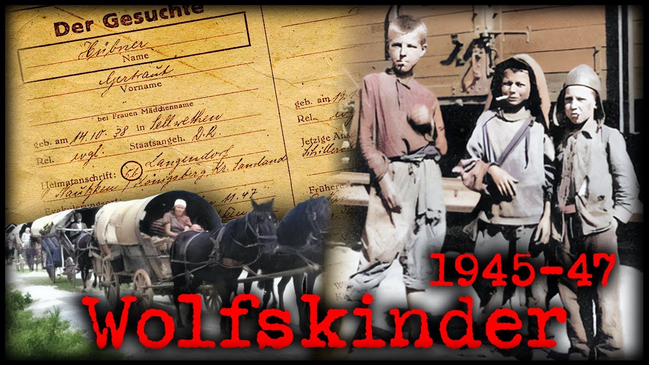 Die Tragödie der ostpreußischen Wolfskinder 1945-47