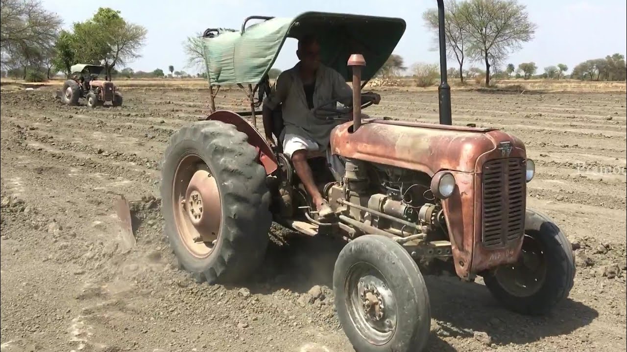 Old model massey fergusion 1030 di Tractor Back blade leveling field at very cheap price