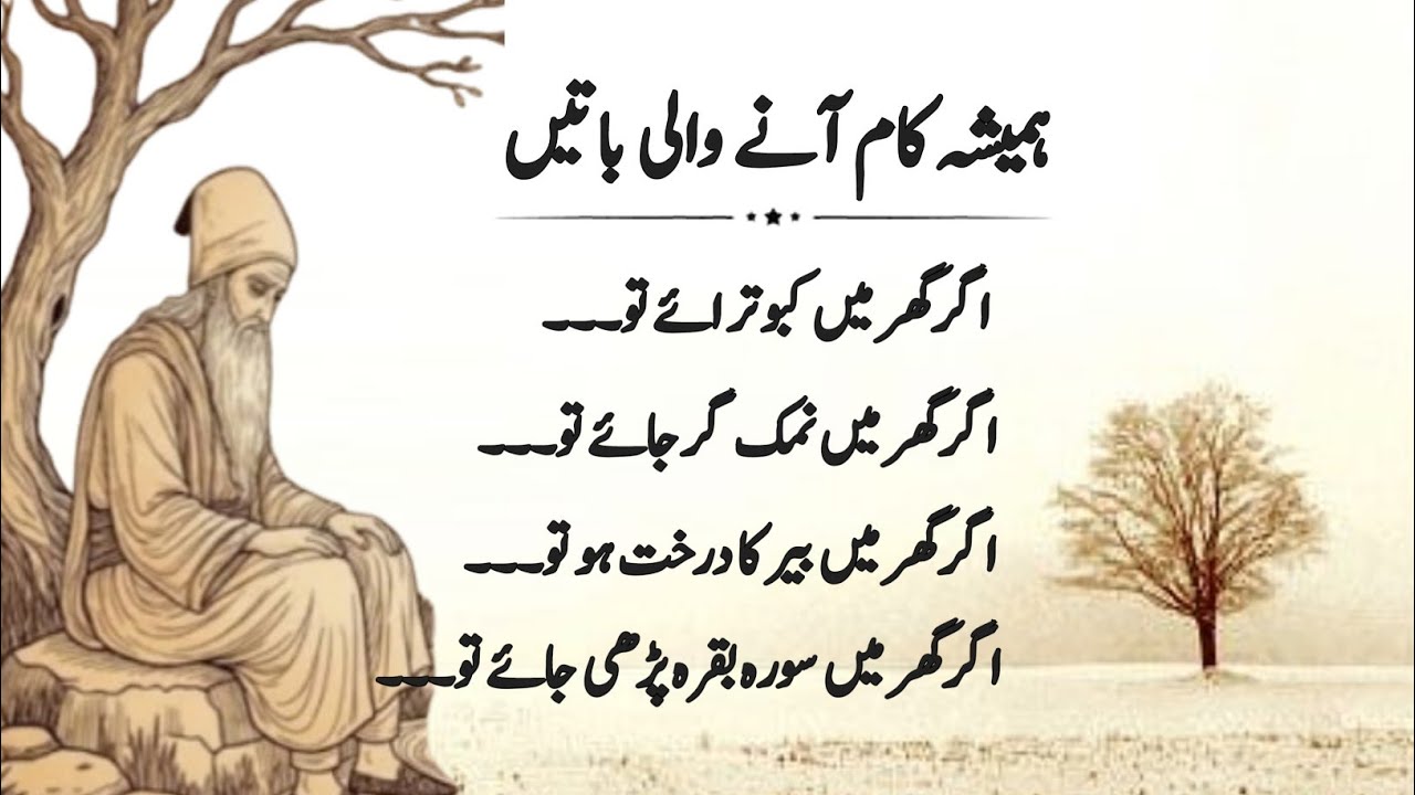Kam ki baten | Hidden Islamic signs in daily life | powerful Islamic fact & wisdom | Urdu quotes