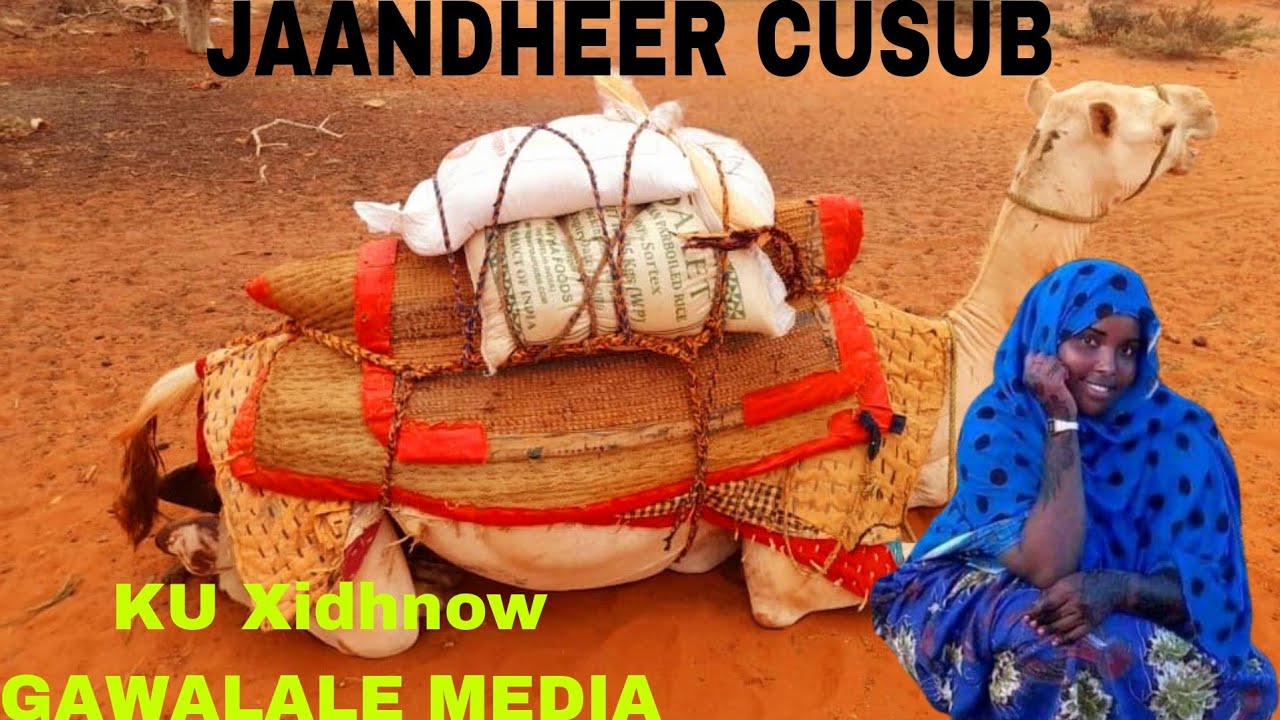 CIYAAR DHAQAMEED CODKII WARSAME JAAMAC YUUSUUF