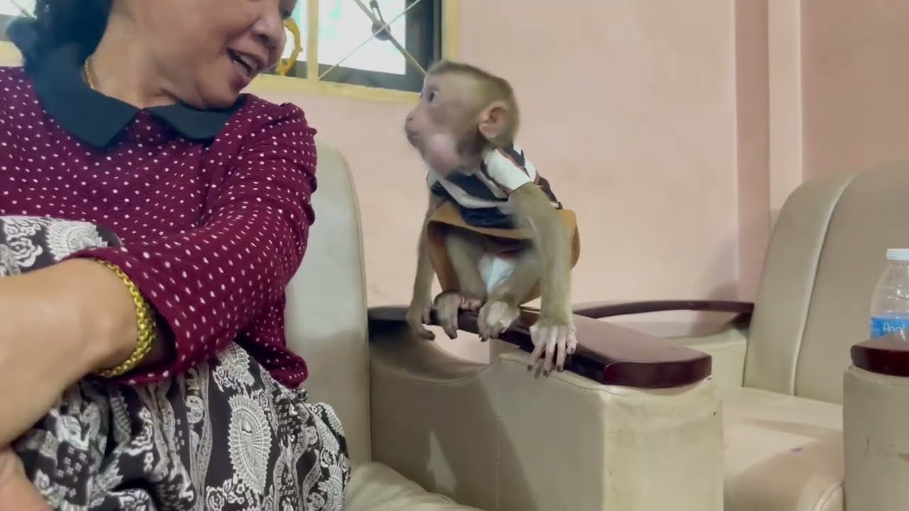 Funni Jasmine fast Lip smacking Refusing from grandma adv..cee her