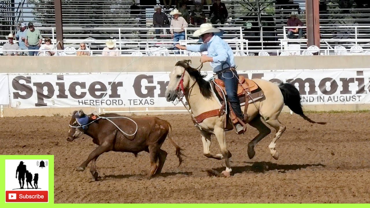 Open Steer Roping 2nd Go Part 1🐂 2024 Spicer Gripp Memorial Roping