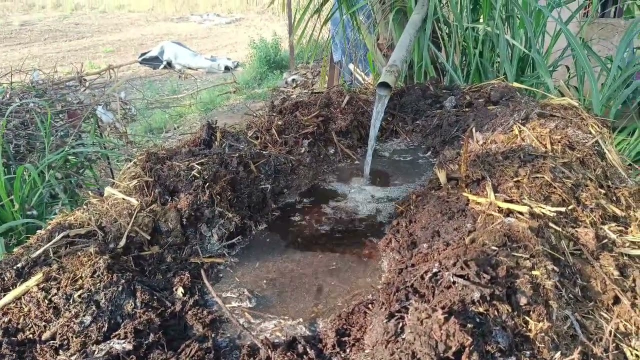 शेणाच्या ढीगात पाणी सोडण्याचे फायदे