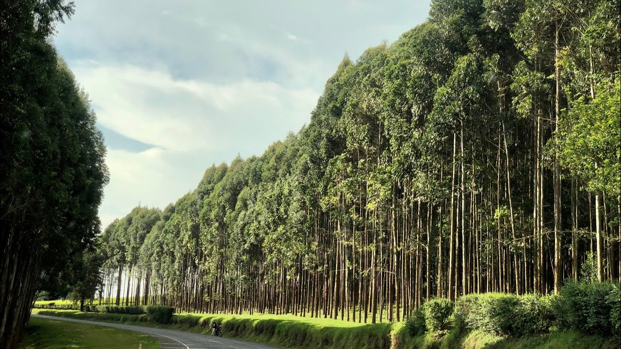 KENYA: AMAZING ROAD TRIP FROM KISII TOWN TO NGONG TOWN VIA NAROK AND SUSWA NEW BYPASS#travel